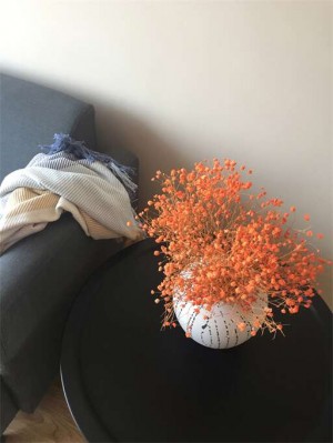 扬州槐泗镇豪华装修一居室二手房出售