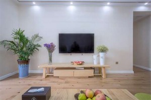 扬州泰安镇精装修两室一厅二手房出售